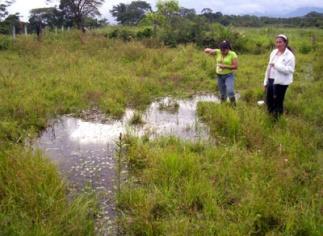 Sampling mosquito breeding sites in Colombia. Photo: D. Ruiz